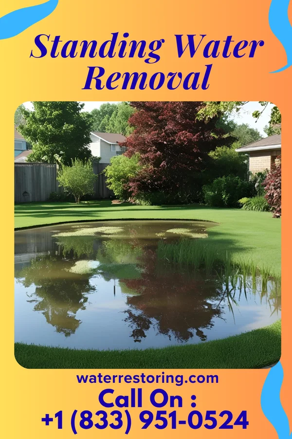 Standing Water Removal in Mechanicsville, IA